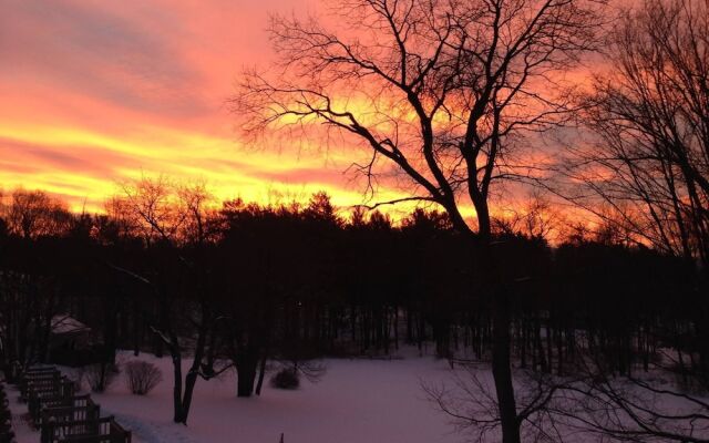 Tälta Lodge, A Bluebird by Lark
