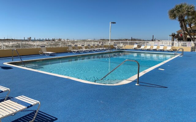 Driftwood Towers #1F - Palm View