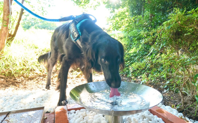 Suite Villa Izukogen Prime