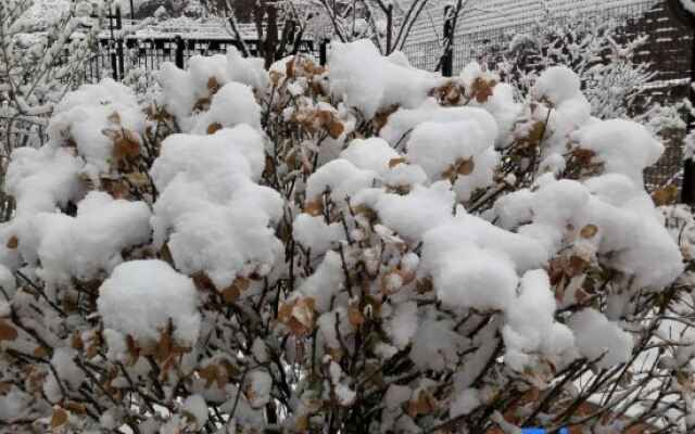 Mingtang Linshui Inn