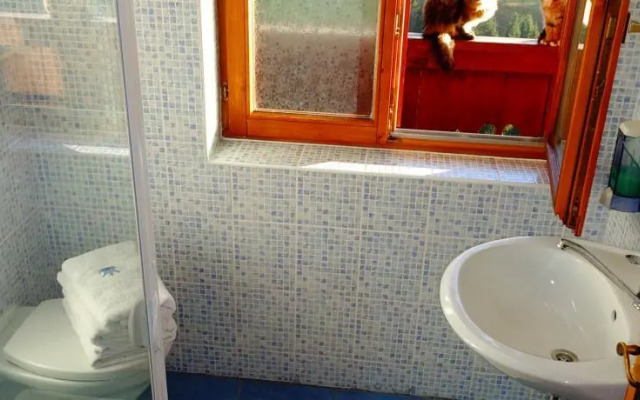 Bio Bauernhof Brandgut