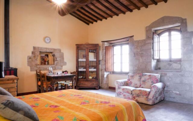 Mimosa - Borgo la Civitella