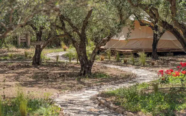 Odyssey Eco Farm Glamping