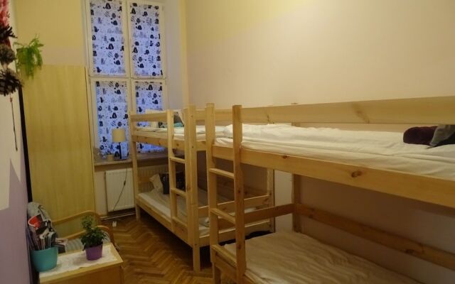 Cat Hostel Krakow