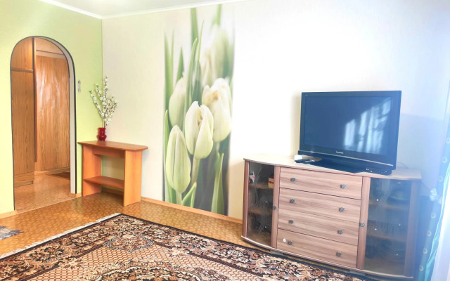 Апартаменты в микрорайоне Восточный 1/5