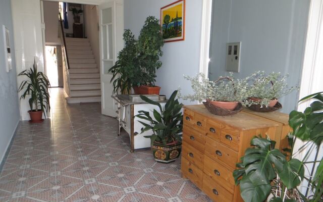 Apartment Ivona CK 1
