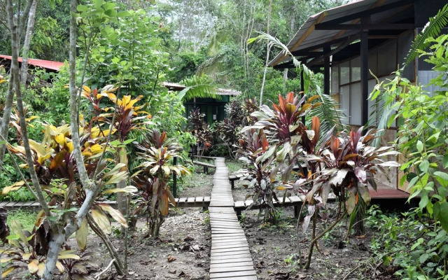 Ecoaventuras Amazonicas