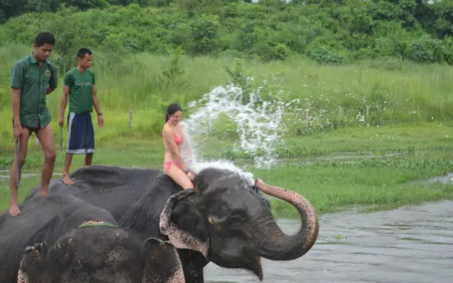 Tigerland Safari Resort