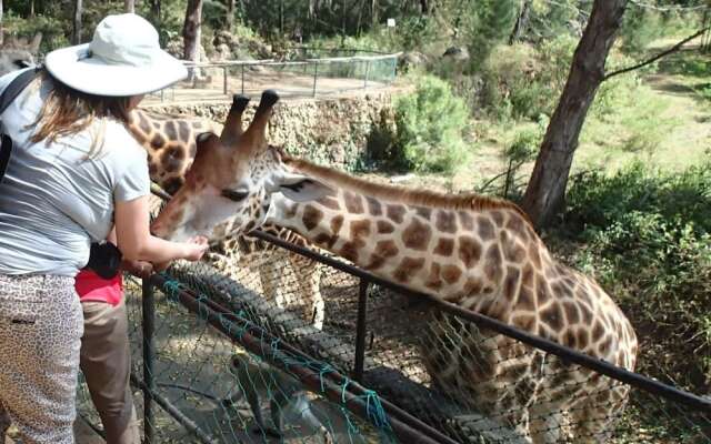 Belle Ocean View Apartments