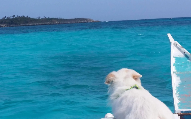 Villa Carillo Beach Resort