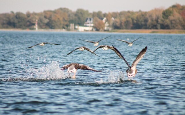 Amazing Home in Rechlin With 2 Bedrooms, Sauna and Wifi