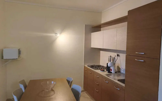 Marialva Tropical T2