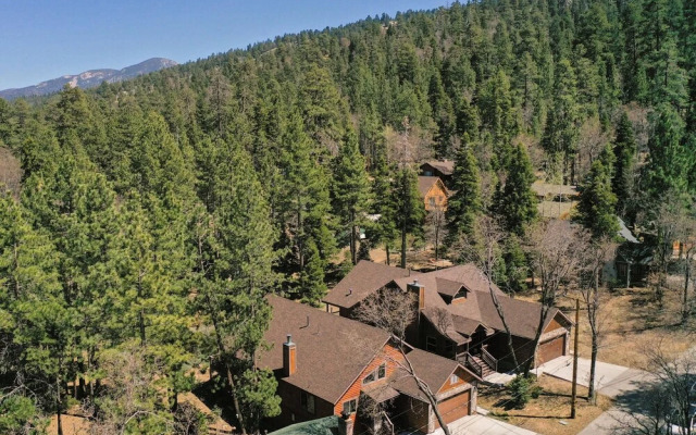 Conklin Road - Teddy