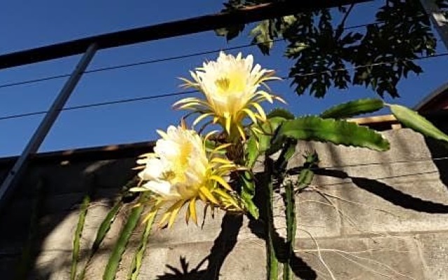 chez sonia et franck