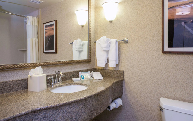 Hilton Garden Inn Boise/Eagle