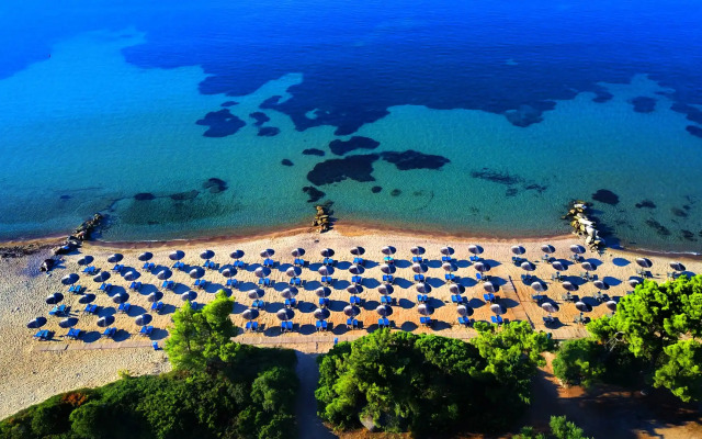 Blue Dolphin Hotel