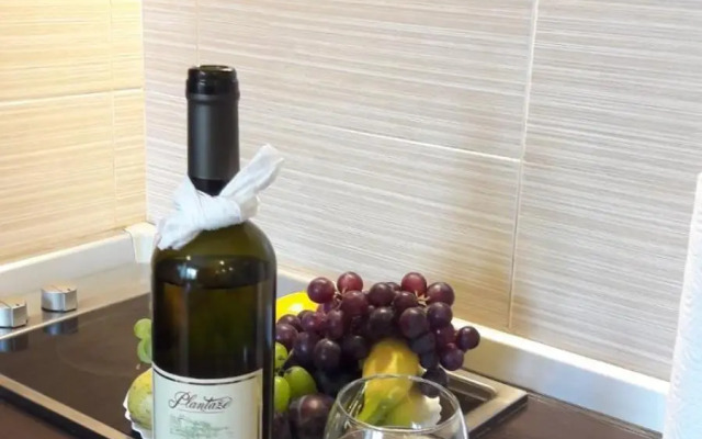 Apartment Nina Kopaonik