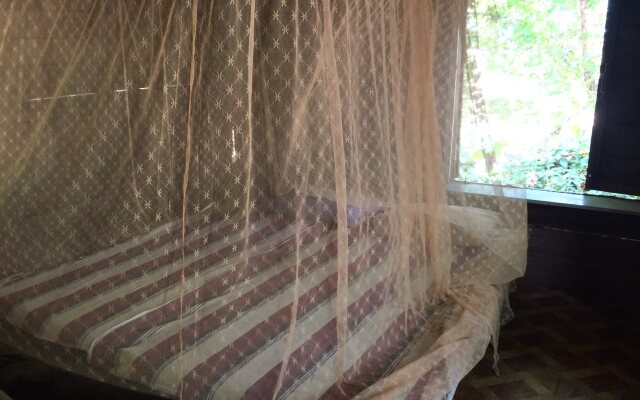 Beach Hut