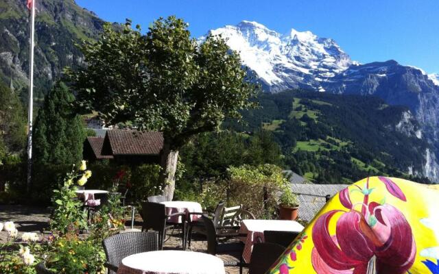 Hotel Bellevue Wengen - Best view in town