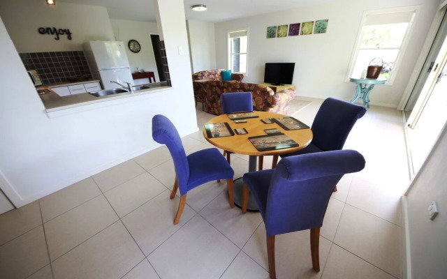 Geckos at South West Rocks