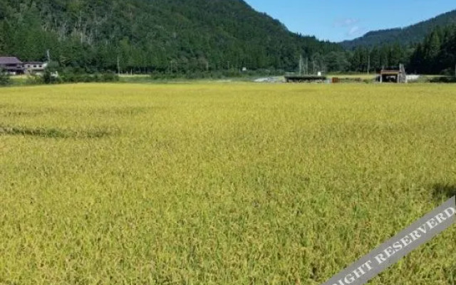 Tenjiku Onsennosato