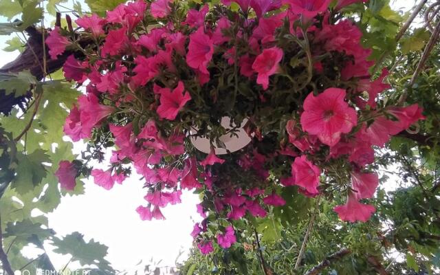 Seaside Deluxe Apartment