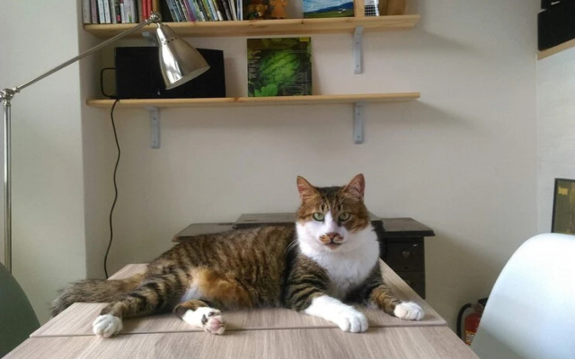 Taitung mini trip hostel