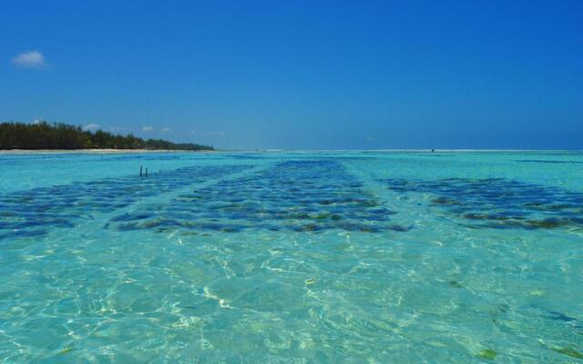 White Paradise Zanzibar