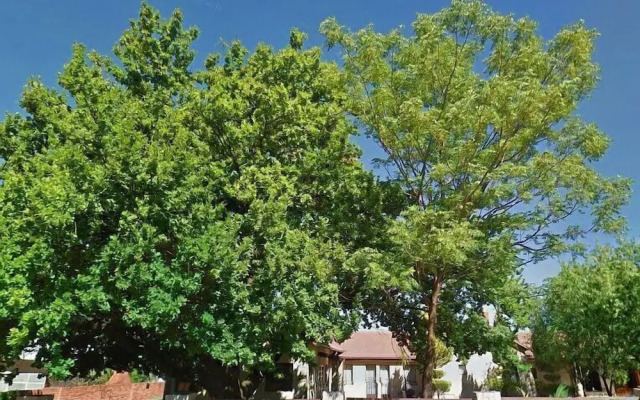 Oak Rest Guesthouse