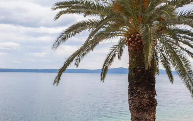 Apartments Sumic Podgora