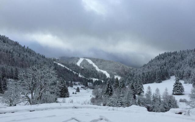 LA BRESSE - Appartement de Charme 3*