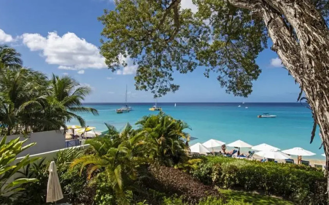 Coral Cove 4