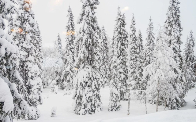 Rukan Lepolinna a Kuusamo