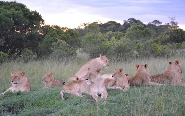 Neptune Mara Rianta Luxury Camp - All Inclusive