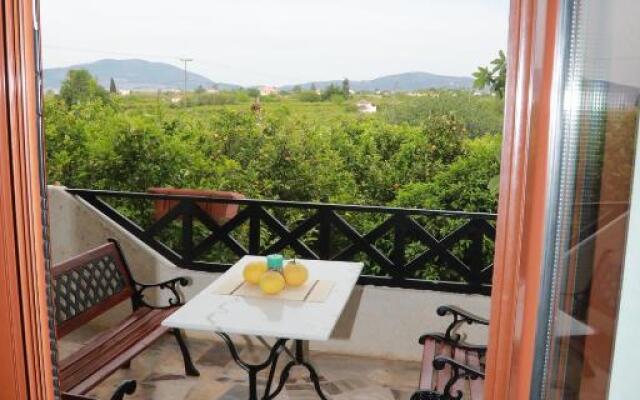 Lemon tree house