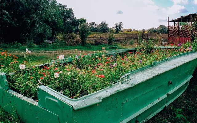 Замок (Астраханская обл)