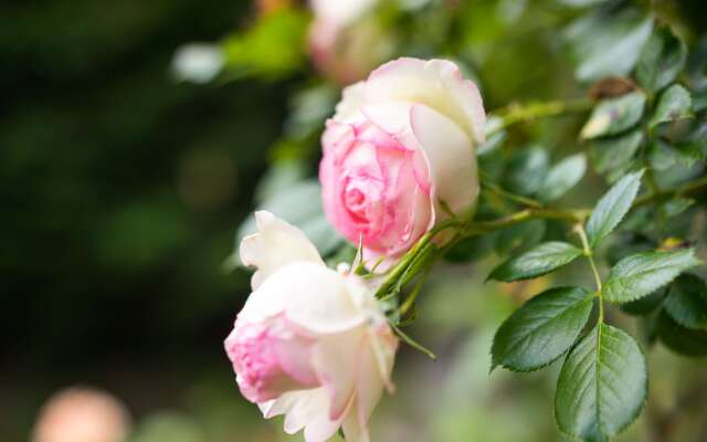 The Originals Boutique, Hôtel Terminus