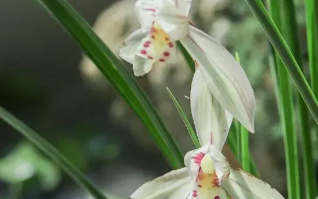 Xiyin Coffee Hotel (Baoshan High-speed Railway Station)