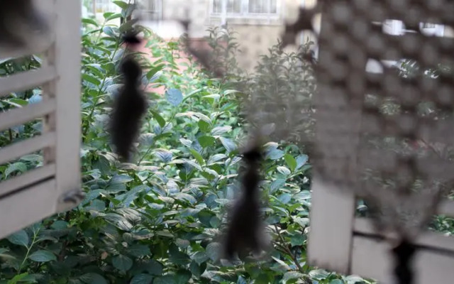 Holiday home Historical House