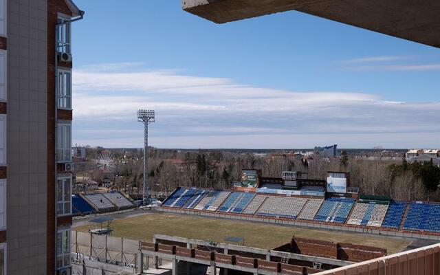 Апартаменты Петровские на улице Белинского