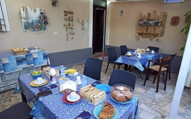 Aurora's House