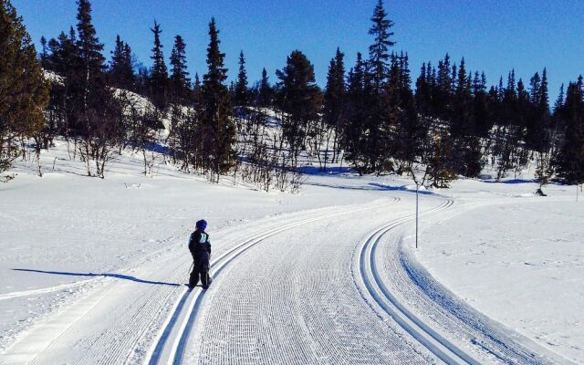 Nice Home in Ål With Wifi and 4 Bedrooms