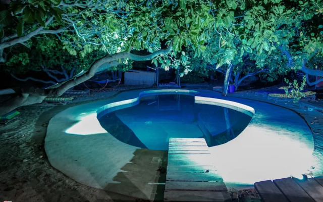 Bonobo Lodge