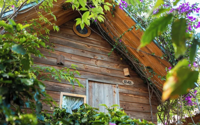 September Garden