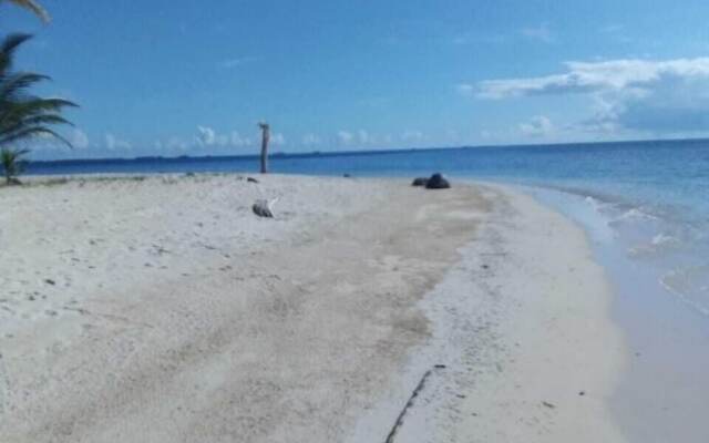 Discovery Gunayar