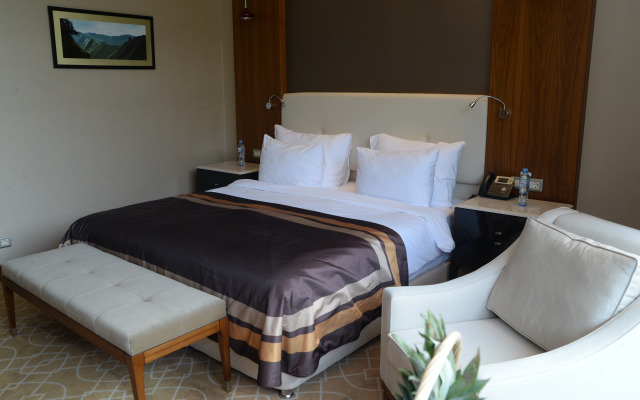 Borjomi Likani Hotel