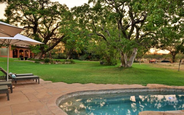 Last Word Madikwe