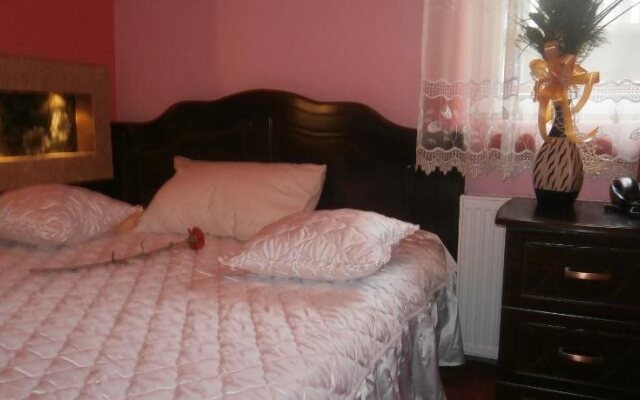 Vila Mitic