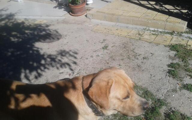 Mini-hotel Yutnii dvorik