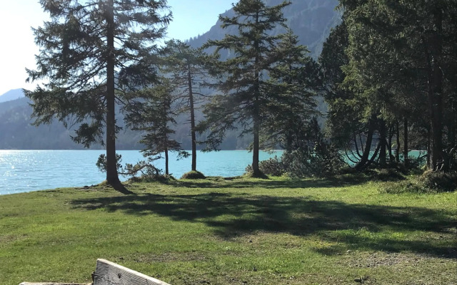 Pony-Ziegen-Hasen-Ranch Bichlbach